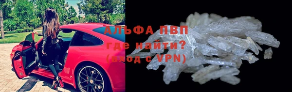 прущие грибы Абинск