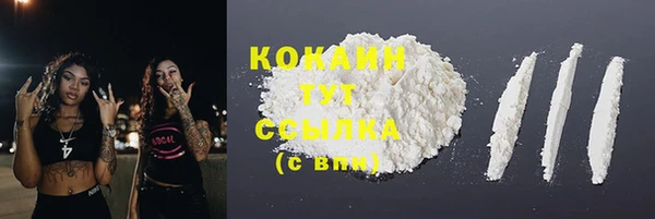 прущие грибы Абинск