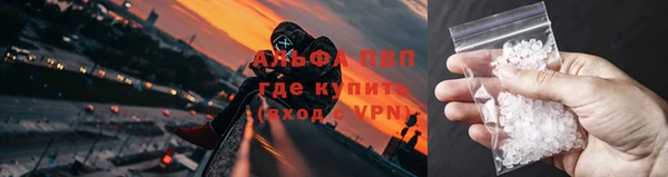 прущие грибы Абинск