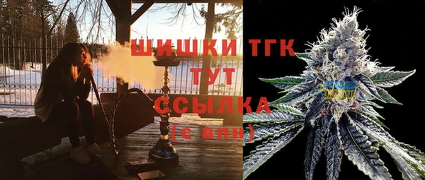 прущие грибы Абинск
