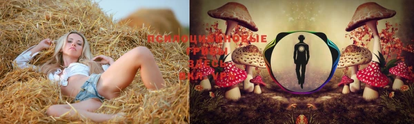 прущие крисы Абдулино