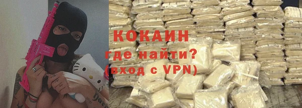 прущие грибы Абинск